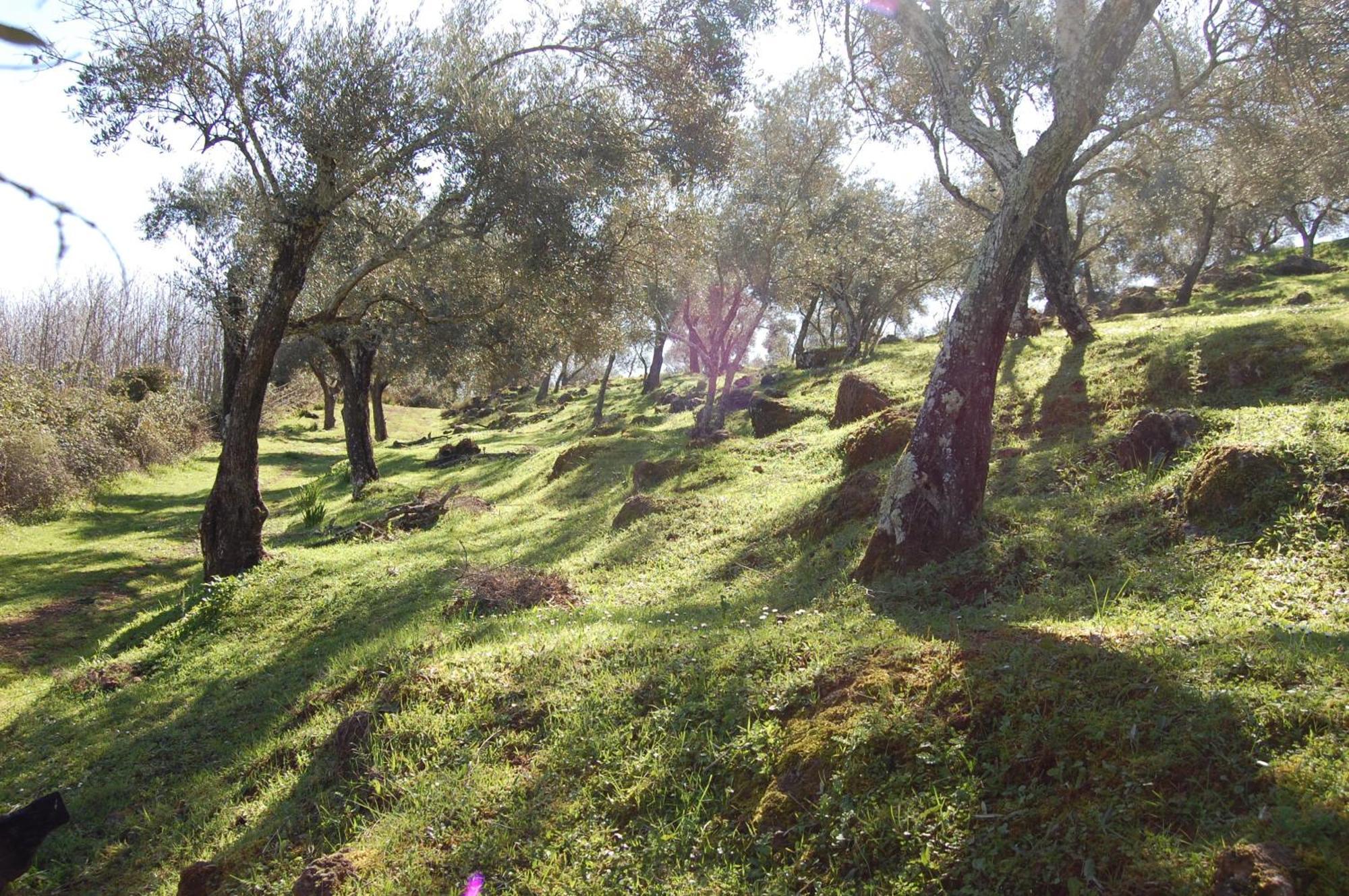 Los Pozos De La Nieve Constantina Exterior photo